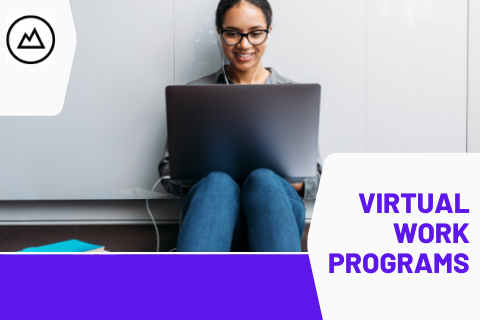 Virtual Work Experiences