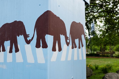 On-Campus/Virtual Interview Guidelines 2025-2026