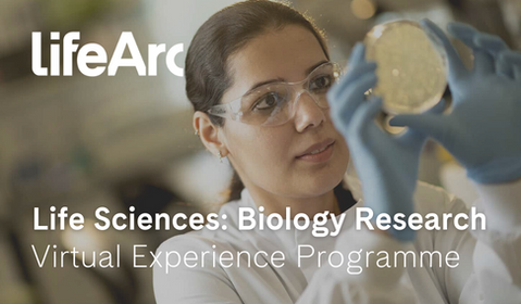 Life Sciences: Biology Research